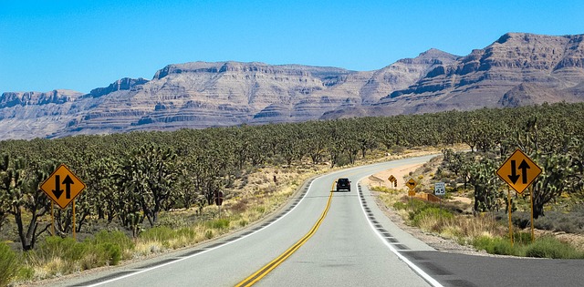 Seguro Viagem para Estados Unidos