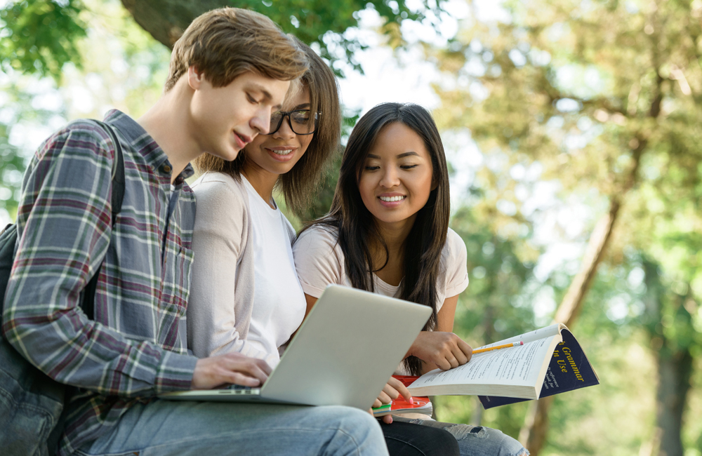 estudantes sentados em um parque olhando um notebook.
