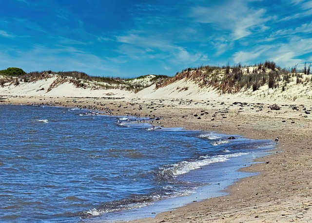 O que é e para que serve um seguro viagem Delaware?
