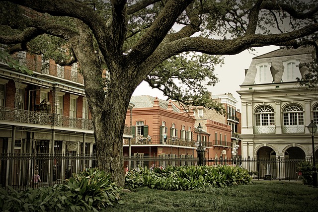 Por que um seguro viagem Nova Orleans é crucial para sua viagem