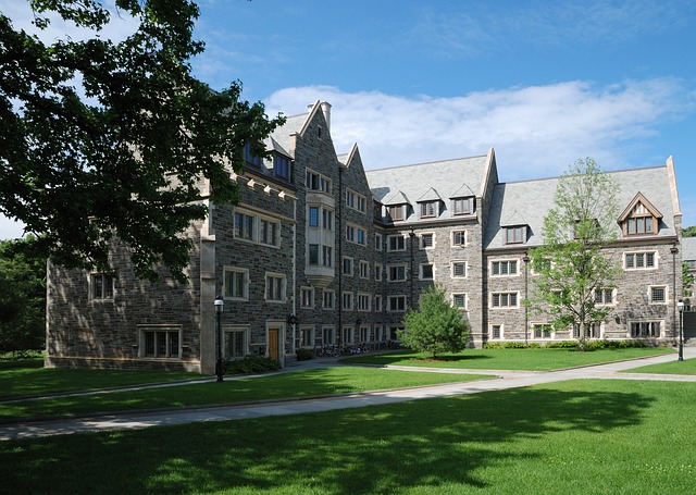 seguro viagem Princeton