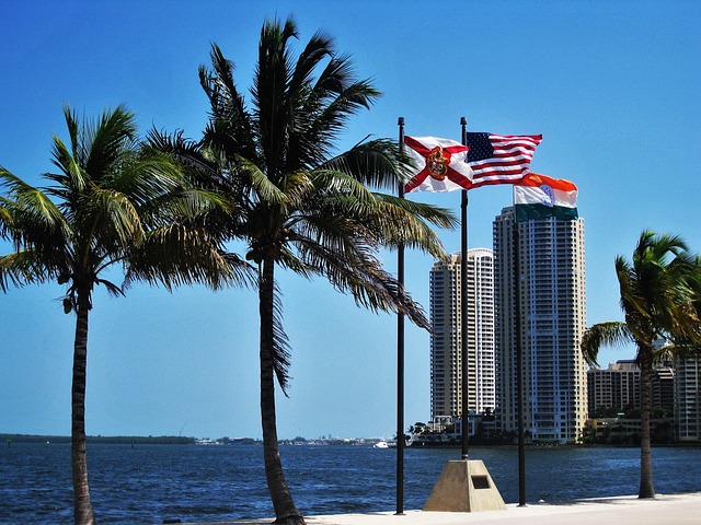 seguro viagem miami