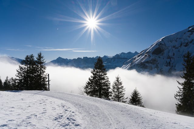 Seguro viagem Alpes Suíços