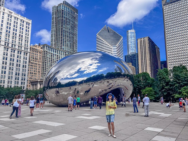 Seguro Viagem Illinois