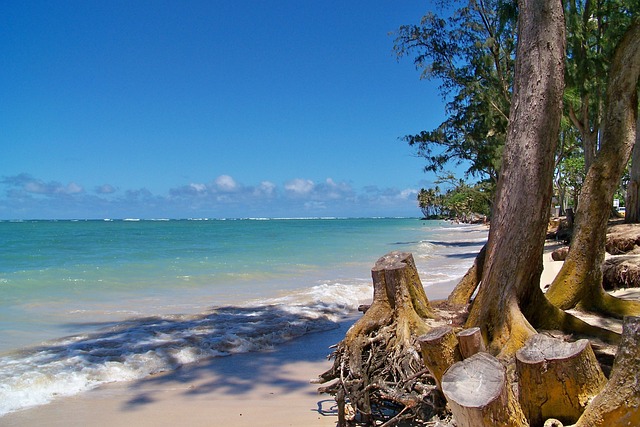 Seguro Viagem Sandy Beach