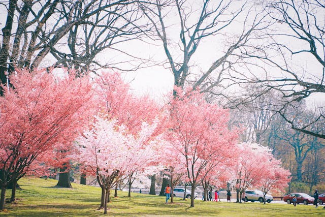 Seguro viagem Newark