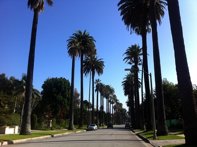 seguro viagem Beverly Hills