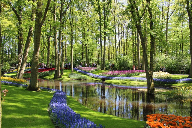 Seguro Viagem Holanda