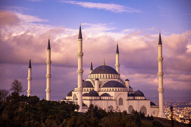 Seguro viagem Istambul