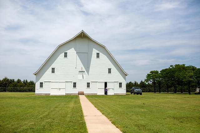 seguro viagem Kansas